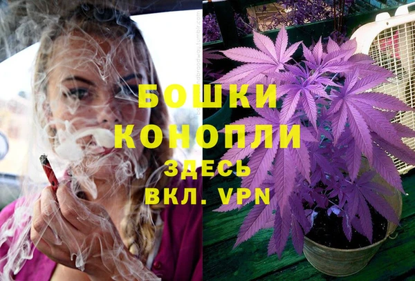 дурь Козловка