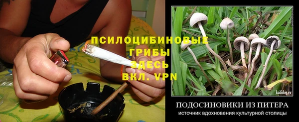 скорость Козельск