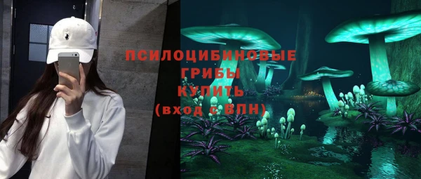 тгк Киреевск